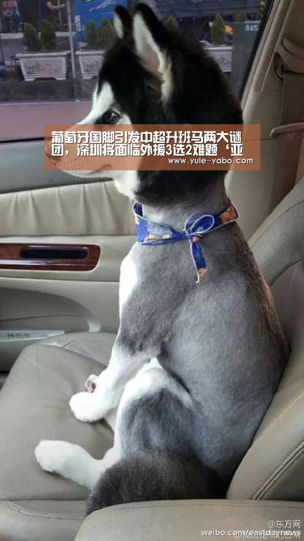 葡萄牙国脚引发中超升班马两大谜团,深圳将面临外援3选2难题‘亚博app下载’(图1) 亚博体育app官方下载