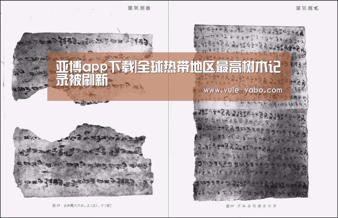 亚博app下载|全球热带地区最高树木记录被刷新(图3) 亚博体育app官方下载