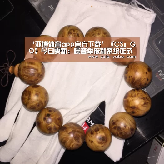 ‘亚博体育app官方下载’《CS:GO》今日更新:噪音举报新系统正式上线(图2) 亚博体育app