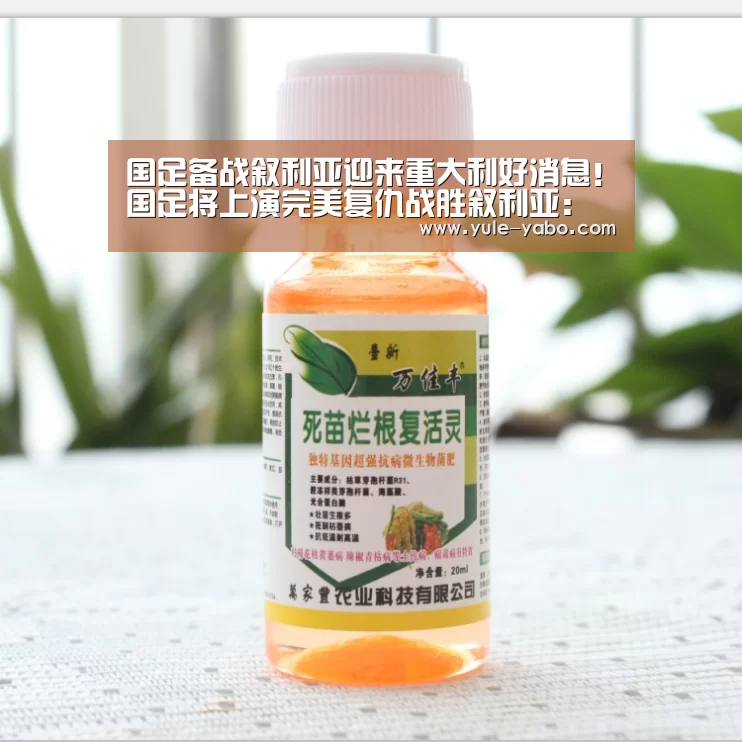国足备战叙利亚迎来重大利好消息!国足将上演完美复仇战胜叙利亚:亚博体育app(图1) 亚博app