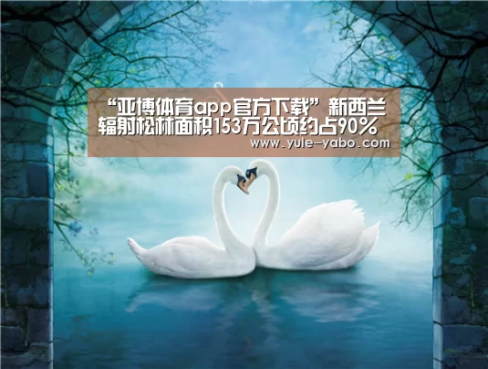 亚博app下载