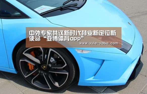 中外专家共议新时代林业新定位新使命“亚博体育app”(图1) 亚博app下载
